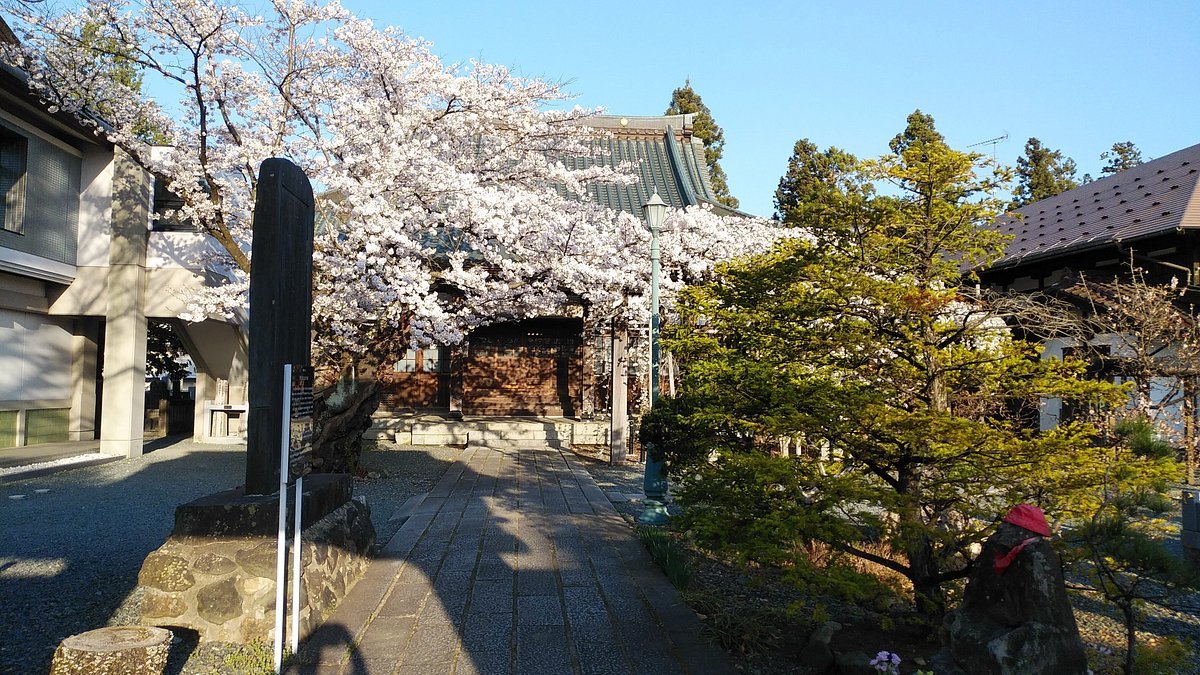 🏯 용곡사 (류코쿠지) 이미지 4